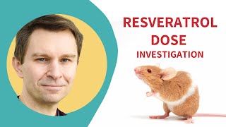 How RESVERATROL affects your heart  Low Dose Resveratrol Study [upl. by Cirilo92]