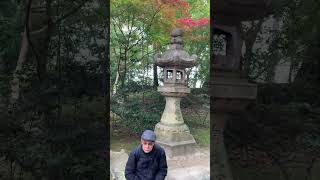 Fushimi Inari Taisha  Kyoto  21 Nov 2019 [upl. by Ecnerolf]