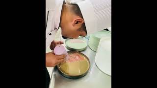 Amazing Plating Idea youtubeshorts chef plating platingideas [upl. by Roath]