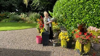 Planting Autumn containers  Refreshing house entrance for Autumn  Hot Border tour [upl. by Cartan]