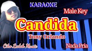 CANDIDATony OrlandoMale Key Karaoke [upl. by Jamille]