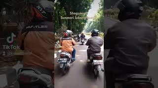 Suzuki Shogun starlingshortvideo shogun110 shogun125 shogunsp wisata music [upl. by Secnarfyram]