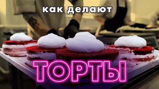 Как делать торты в промышленных масштабах [upl. by Castora74]