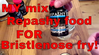 How I mix Repashy for Bristlenose fry [upl. by Haywood]