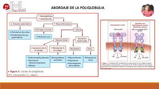 POLIGLOBULIA ABORDAJE [upl. by Granoff]