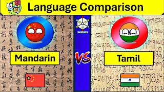 Tamil Vs Chinese Language Comparison  Tamil and Chinese Similarities And Differences  Singapore [upl. by Karlene]