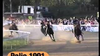 Palio Di Fucecchio 1991 [upl. by Eecats308]