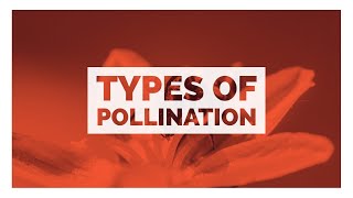 Types of pollination [upl. by Ananna]