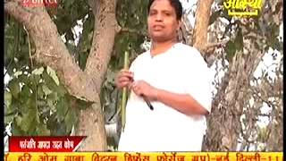 पेट रोग में अमलतास का प्रयोग I ACHARYA BALKRISHNA I WORLD AYURVEDA GURU [upl. by Trebo635]