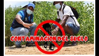 🥵🥵 CONTAMINACIÓN DEL SUELO  Causas consecuencias y SOLUCIONES 2021 [upl. by Clarissa]