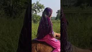 Donkey riding in high speed  full vlog on channel desertwomendailyroutine mumtaz dailyroutine [upl. by Zilef340]