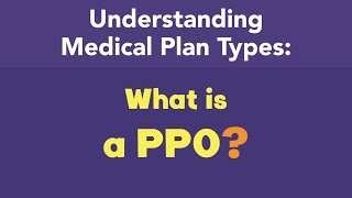 What is a PPO [upl. by Neumeyer305]