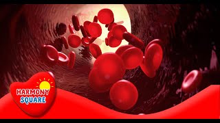 What are Red Blood Cells  More Science on the Learning Videos Channel [upl. by Yendyc]