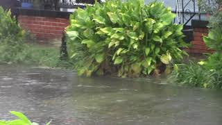 Bywater New Orleans street flooding 7102019 [upl. by Hotchkiss]