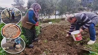 ASKER EĞLENCE İPTAL  BU TARİFLE KABAK YEMEYEN KALMAZ  BAŞ SOĞAN DİKME BAHÇE KÖY İŞLERİ DOĞAL HAYAT [upl. by Komara]