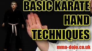 Basic Karate Hand Positions [upl. by Norab]