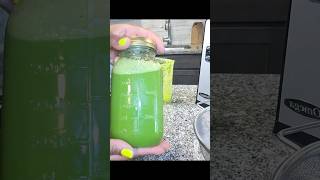 Green Juice Recipes That Actually Tastes Good [upl. by Morena]