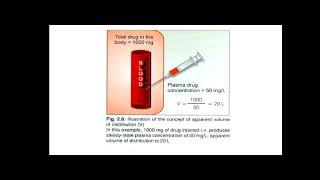 Pharmacokinetics 1 presentation [upl. by Reppart421]