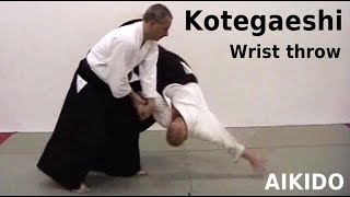 Aikido technique KOTEGAESHI wrist throw by Stefan Stenudd in 2004 [upl. by Ekusuy]