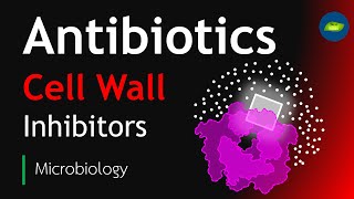 Antibiotics  Cell Wall Inhibitors  Microbiology  Basic Science Series [upl. by Linis147]