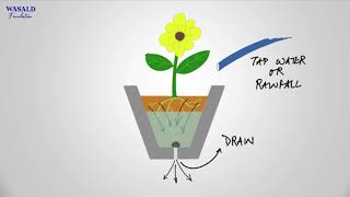 Basic Concept of Agricultural Drainage  Flowerpot Example  WASALD Foundation [upl. by Ikey854]