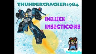 G1 Transformers Reviews  Deluxe Insecticons w Thundercracker 1984 [upl. by Elamaj799]