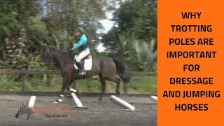 How to ride Raised Trotting Poles with Kirstin Kelly Equestrian [upl. by Haland494]