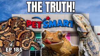 Buying a Reptile From PetCo  should you support chain pet stores [upl. by Molini]