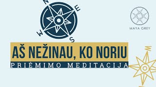 AŠ NEŽINAU KO NORIU  Priėmimo ir dėkingumo meditacija lietuviškai [upl. by Cud708]