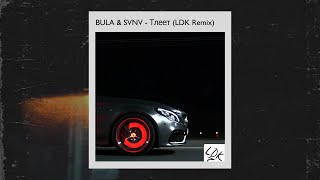 BULA amp SVNV  Тлеет LDK Remix FANMADE Slowed TikTok Extended Remastered [upl. by Leeanne]