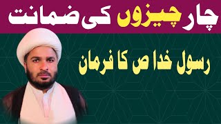 Char cheezon ki zamanat Molana Abdul Hussain najafi [upl. by Nohtanhoj]