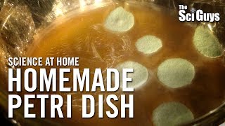 The Sci Guys Science at Home  SE2  EP3 Homemade Petri Dish  Growing Bacteria at Home [upl. by Latoye]