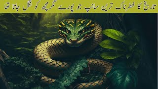 Titanoboa Snake  World Biggest Snake  टाइटेनोबोआ सांप [upl. by Harikahs]