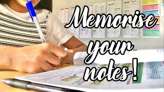 BEST Memorisation Techniques for Students  BEST Revision Methods  GCSE Revision Tips [upl. by Clywd990]