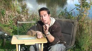 The Zig carp fishing rig explained in detail [upl. by Ericksen]