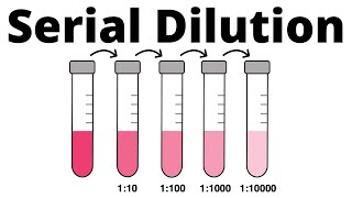 How to prepare a Serial Dilution [upl. by Dell]