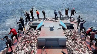 Full video of how we catch skipjack tuna watch till the end 🎣 [upl. by Lancelle]