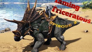 I tame a Triceratops on ARK mobile [upl. by Yssac]