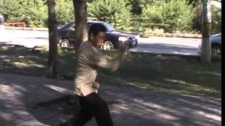 Hebei form Xing Yi QuanDrilling fist Zuan Quan in hidden power [upl. by Ecinhoj]