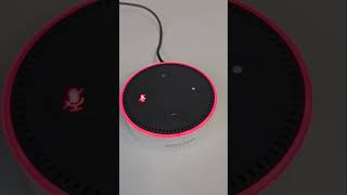 Software update  Amazon Echo Dot 2nd Gen [upl. by Daveda725]