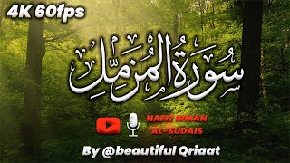 Surah Muzammil  Heart Touching Recitation  Hafiz IMRAN ARSHAD  2025 [upl. by Jerrold188]