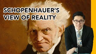 Arthur Schopenhauers View Of Reality  The World As Will And Representation Explained [upl. by Yecal]