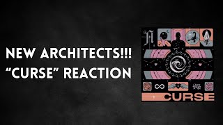 NEW ARCHITECTS  quotCURSEquot REACTION [upl. by Woolson]