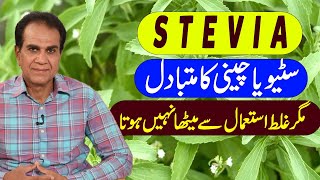 Stevia is a sugar substitute  Use the correct method  Dr Shahzad Basra [upl. by Antonetta]