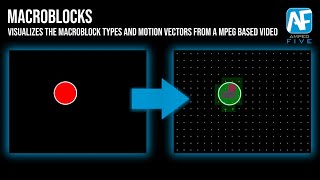 Macroblocks Verify the Encoded Data of a MPEG Video in Amped FIVE [upl. by Eirrem429]