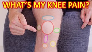 Why Your Knee Hurts Knee Pain Types By Location amp Description [upl. by Yrtnej]