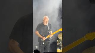 Comfortably Numb  David Gilmour Live at Crico Massimo Rome 2024 davidgilmour pinkfloyd rock [upl. by Eddi]