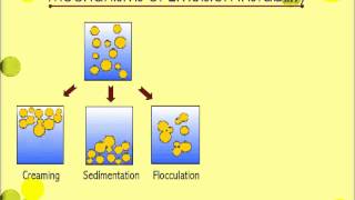 Mechanism Emulsion Instability [upl. by Ardnaxila]