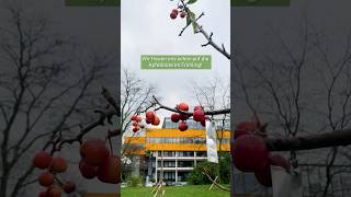 Alte Apfelbaumsorten für den Campus TUDortmund [upl. by Windsor]