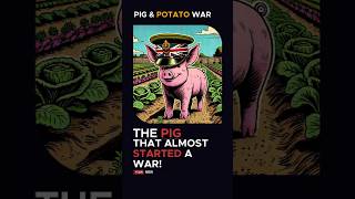 The Pig That Almost Started a War [upl. by Ahsaekal]